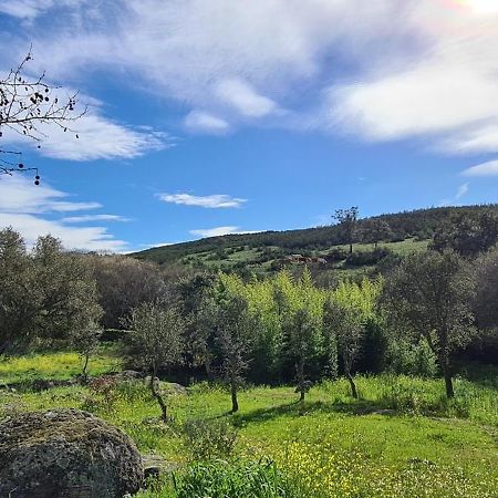 Quinta Da Utopia カステロ・デ・ヴィデ エクステリア 写真
