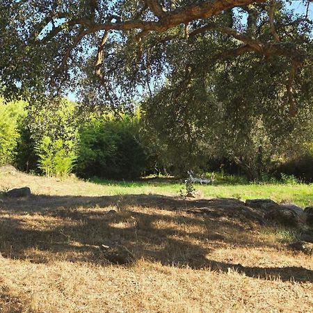 Quinta Da Utopia カステロ・デ・ヴィデ エクステリア 写真