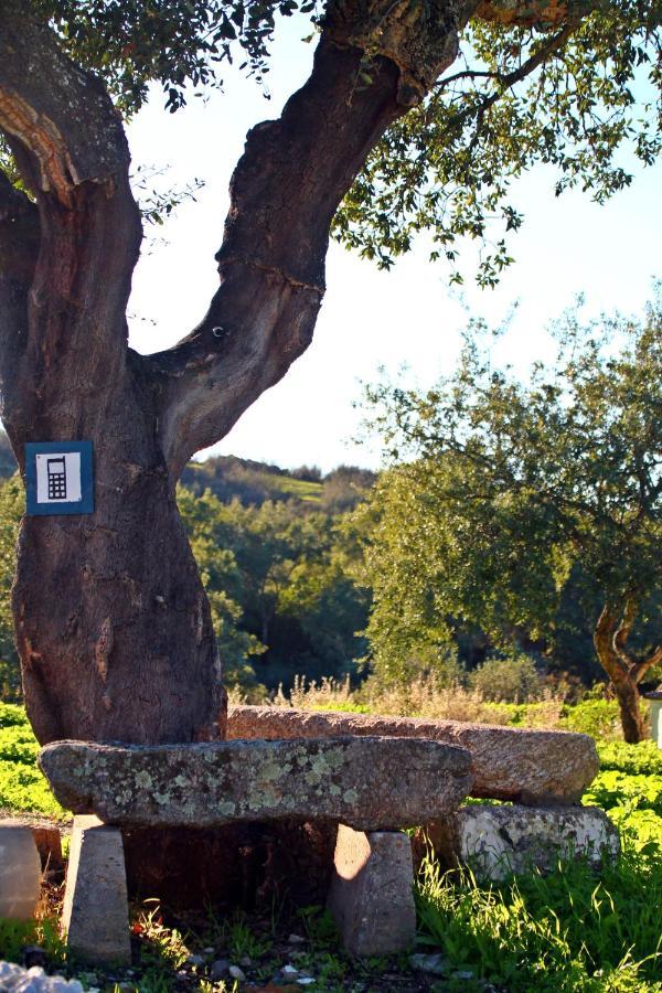 Quinta Da Utopia カステロ・デ・ヴィデ エクステリア 写真