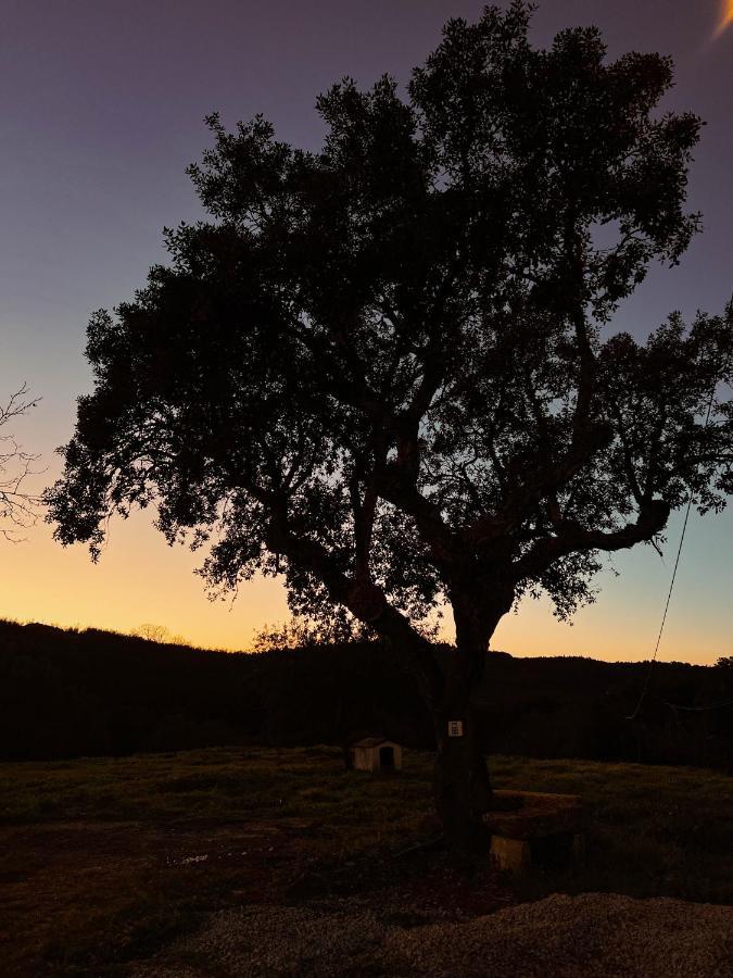 Quinta Da Utopia カステロ・デ・ヴィデ エクステリア 写真