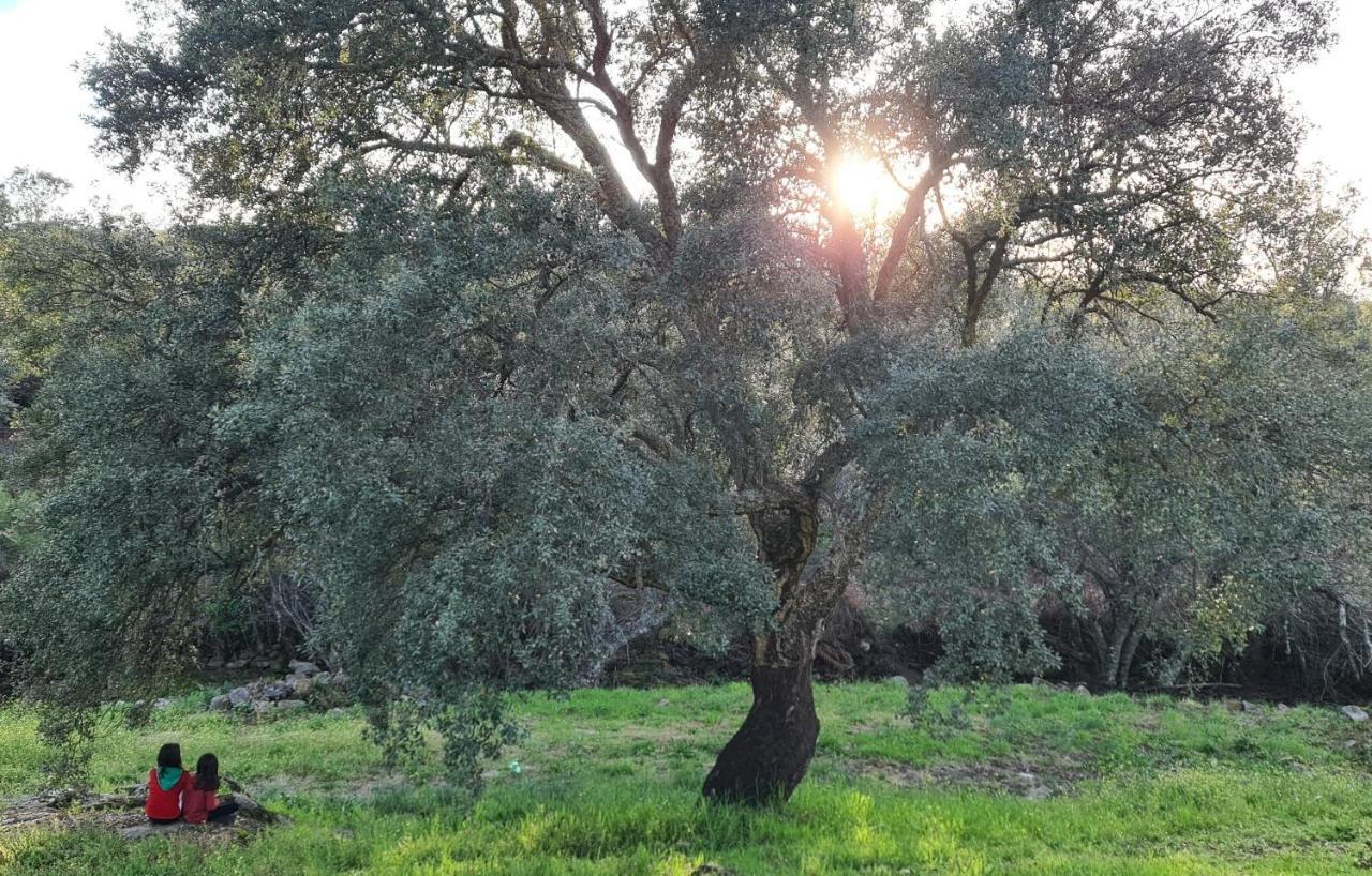 Quinta Da Utopia カステロ・デ・ヴィデ エクステリア 写真
