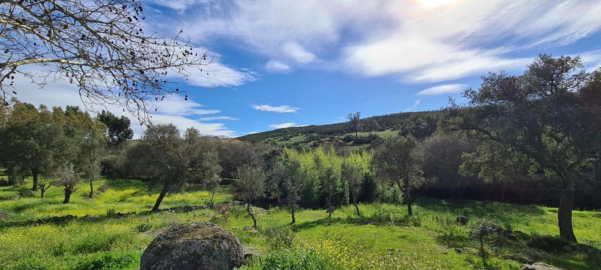 Quinta Da Utopia カステロ・デ・ヴィデ エクステリア 写真