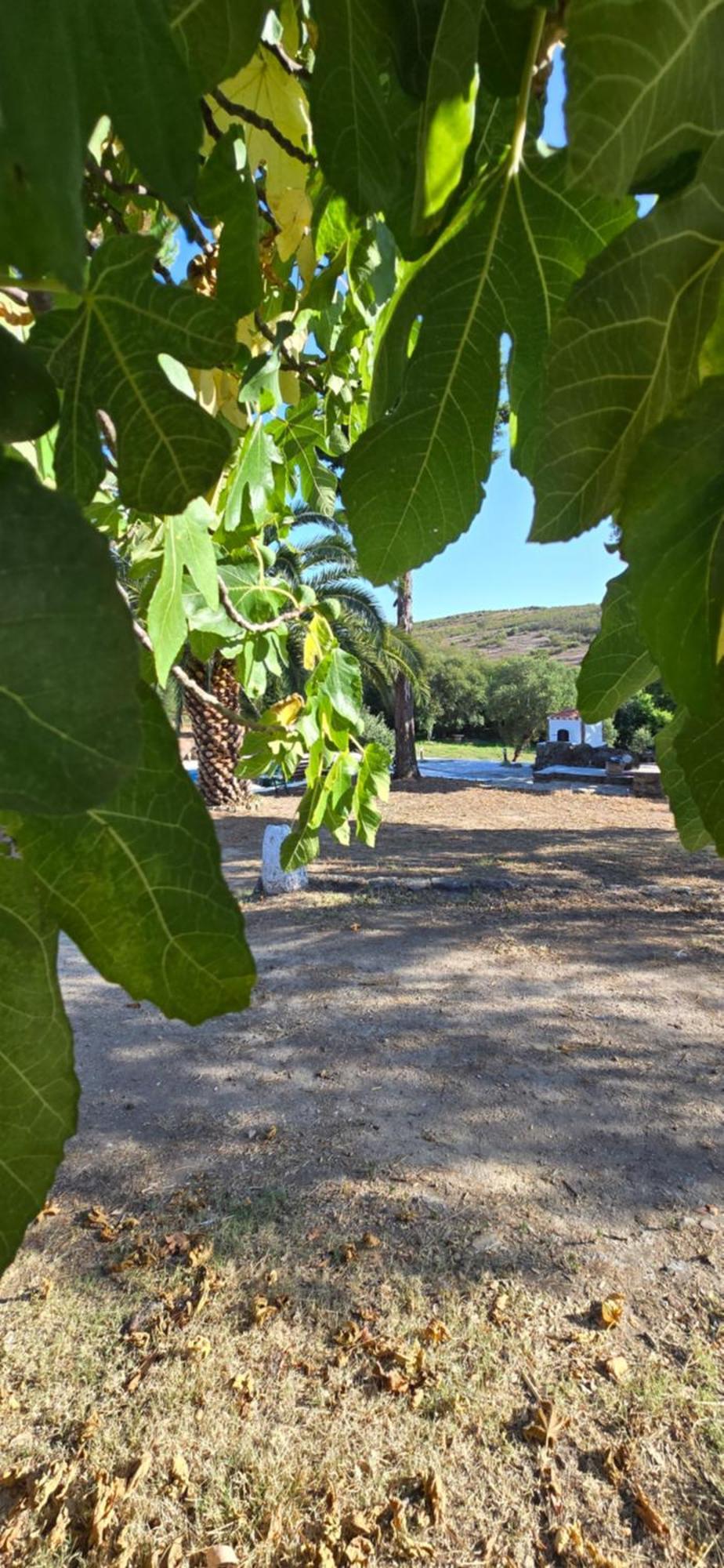Quinta Da Utopia カステロ・デ・ヴィデ エクステリア 写真