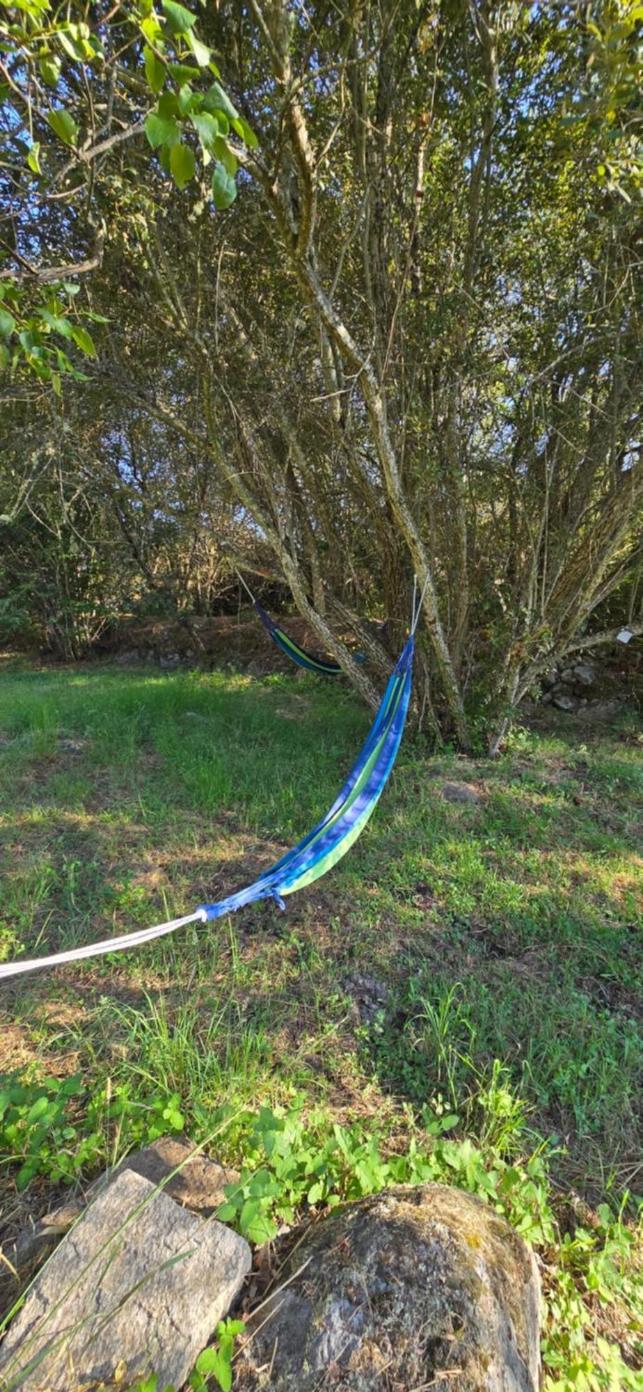 Quinta Da Utopia カステロ・デ・ヴィデ エクステリア 写真